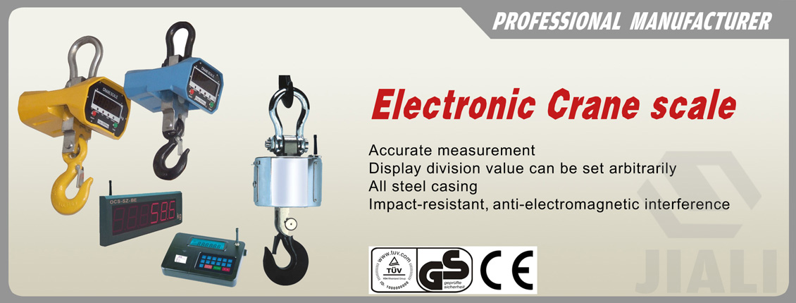 electronic hook scale